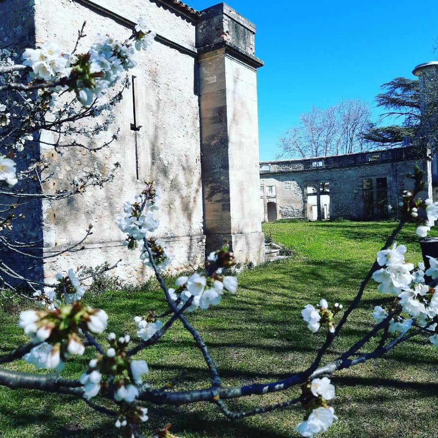 Hotel Chateau De Fabiargues Saint-Ambroix Zewnętrze zdjęcie